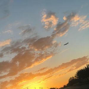 Meet your Posher, Annay